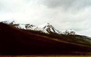 Snow-capped peaks en-route to Jasper